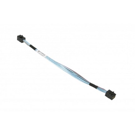 Internal MiniSAS 25cm Cable