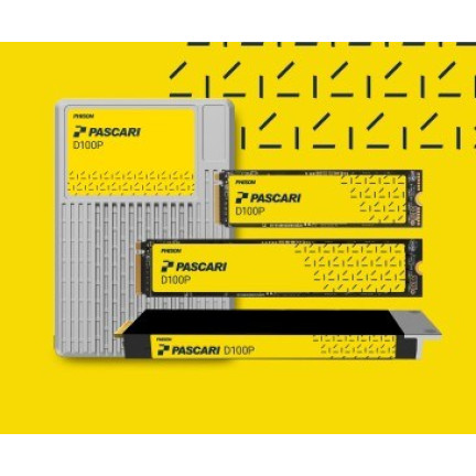 Pascari X200E 1.6Tb NVMe U.2 ISE Single Port Enterprise SSD