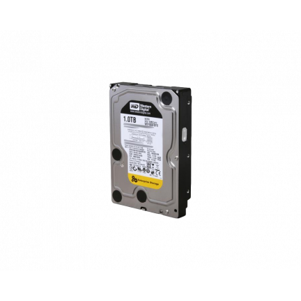 1TB RE4 64Mb 3.5\