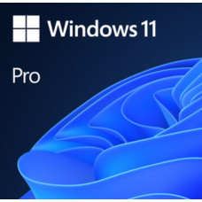 Windows 11 Pro 64-Bit OEM Licence